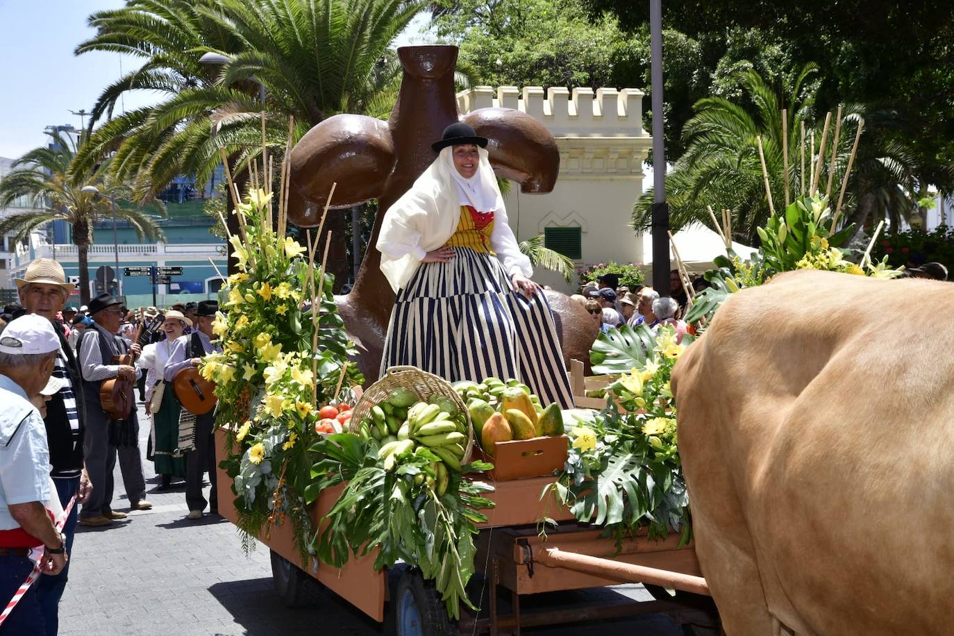 El Paseo Romero conquista Santa Catalina