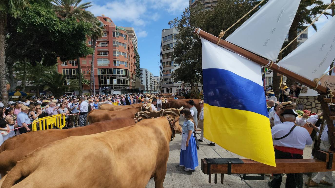 El Paseo Romero conquista Santa Catalina