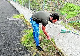 Un vecino de Tenoya realiza labores de jardinería.