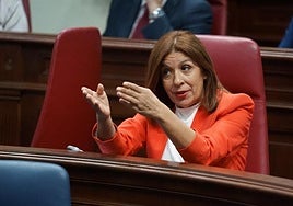 La presidenta del grupo parlamentario de Nueva Canarias-Bloque Canarista (NC-BC), Carmen Hernández.