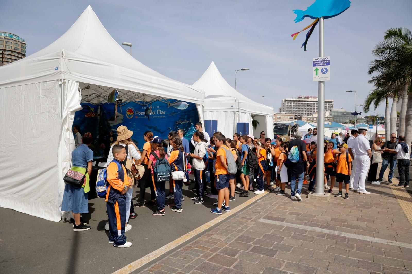 La inauguración Fimar 2024, en imágenes