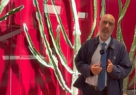 Unas elecciones relevantes para Europa y más aún para Canarias