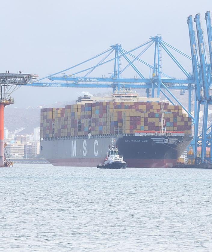 Imagen secundaria 2 - El gigante &#039;Melatilde&#039;, en Las Palmas de Gran Canaria