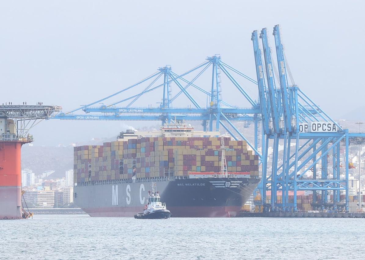 Imagen secundaria 1 - El gigante &#039;Melatilde&#039;, en Las Palmas de Gran Canaria