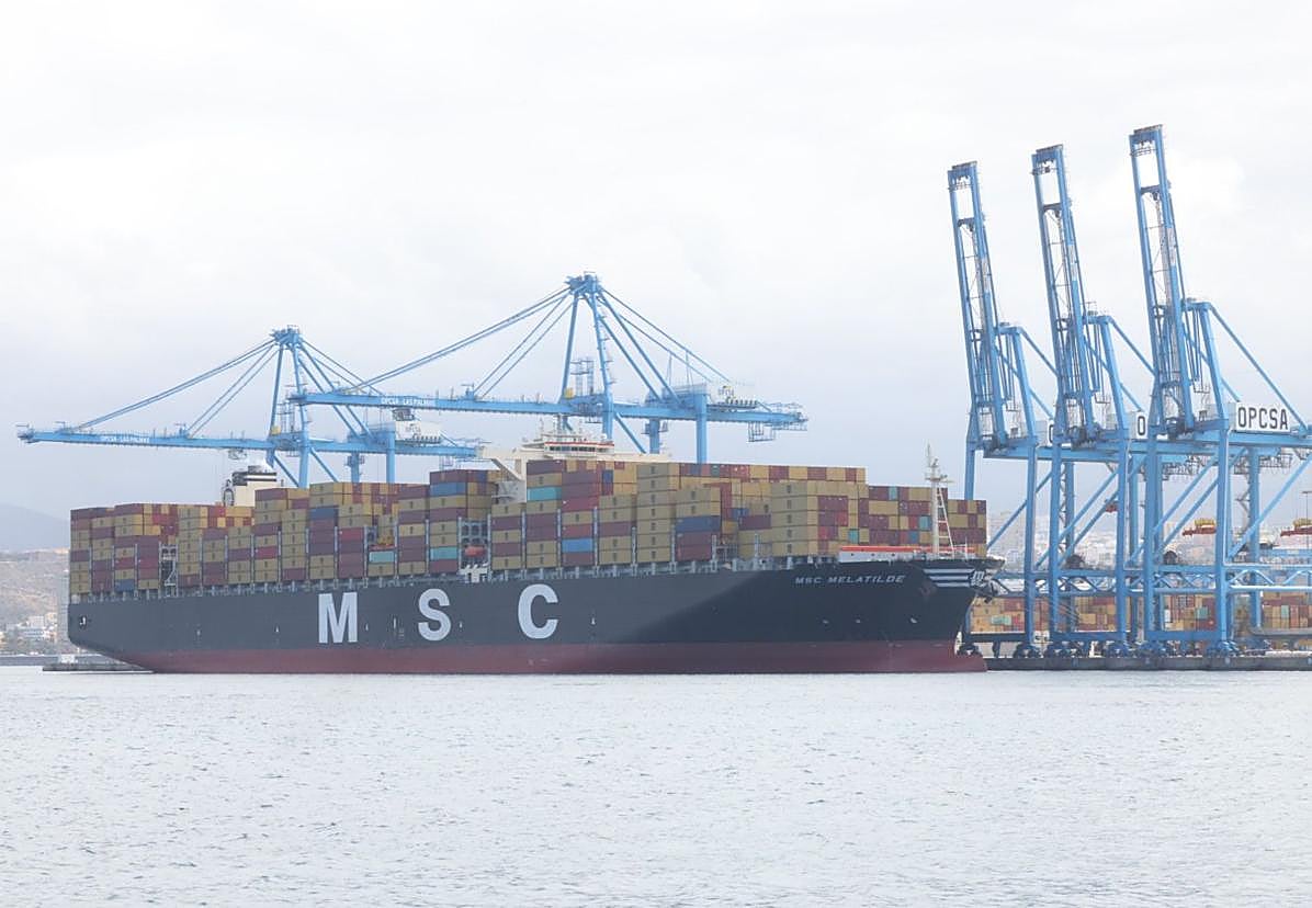 Imagen principal - El gigante &#039;Melatilde&#039;, en Las Palmas de Gran Canaria