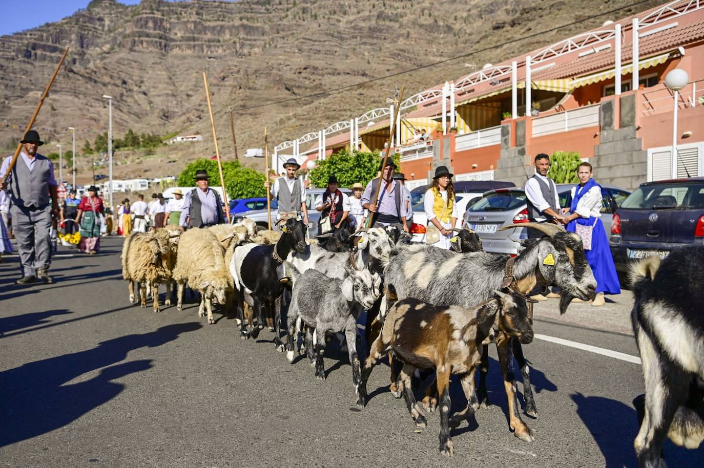 Mogán presume de la romería de San Antonio el Chico
