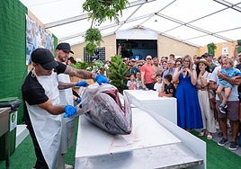 Momento del ronqueo.