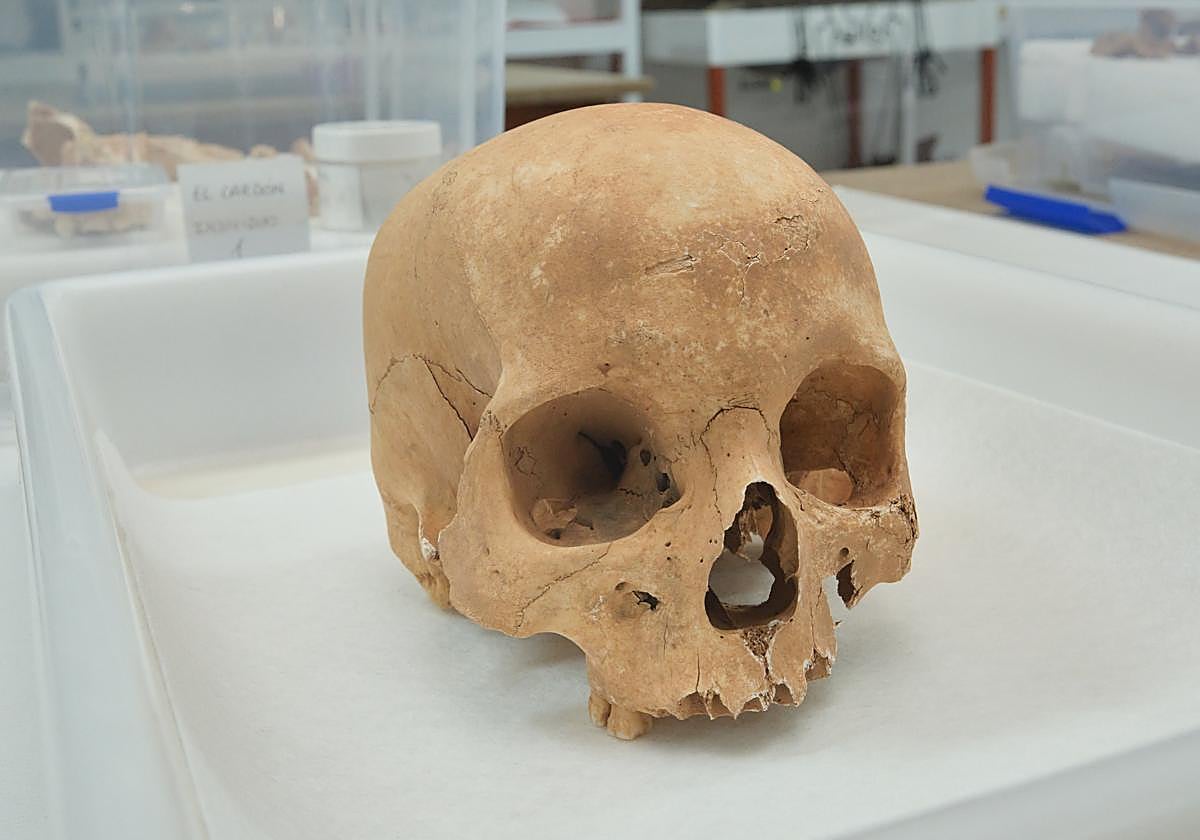 Cráneo del yacimiento de Guriamen, en el municipio de La Oliva.