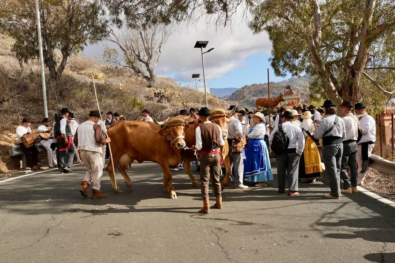 La romería de Arucas, en imágenes