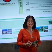 Darias defiende la «transparencia» en el caso de Sociedad de Promoción