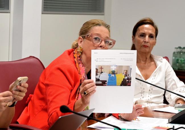 Josefa Luzardo, consejera del PP, durante su intervención en la Comisión de Pleno.