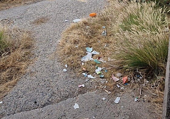Parte de la basura que se acumula en el camino viejo de San lorenzo.