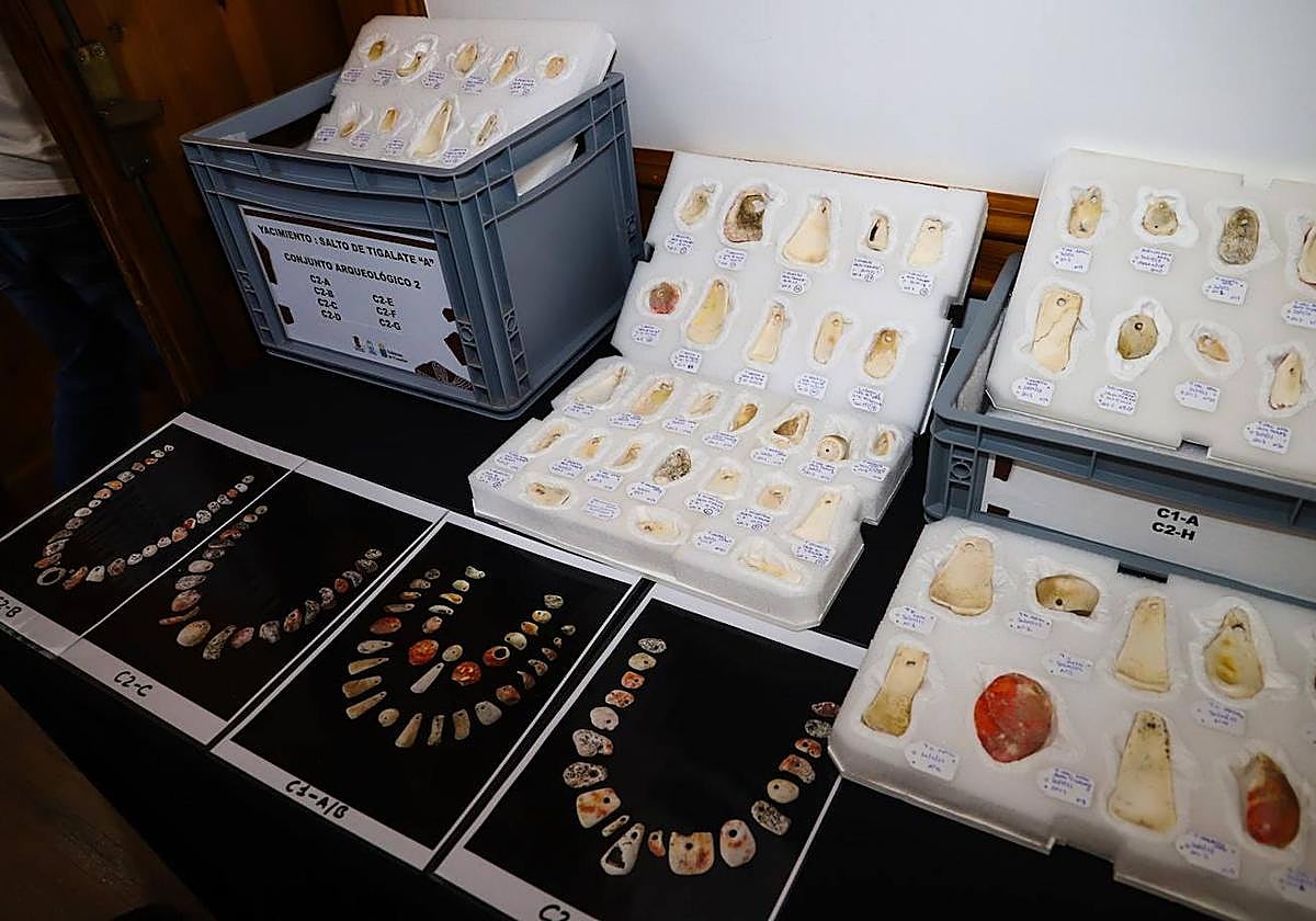 Imagen de las conchas milenarias encontradas en La Palma.