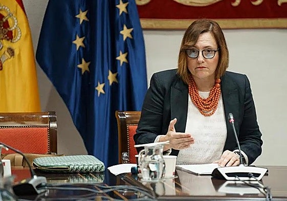 La consejera de Bienestar Social, Canadelaria Delgado, en comisión parlamentaria.