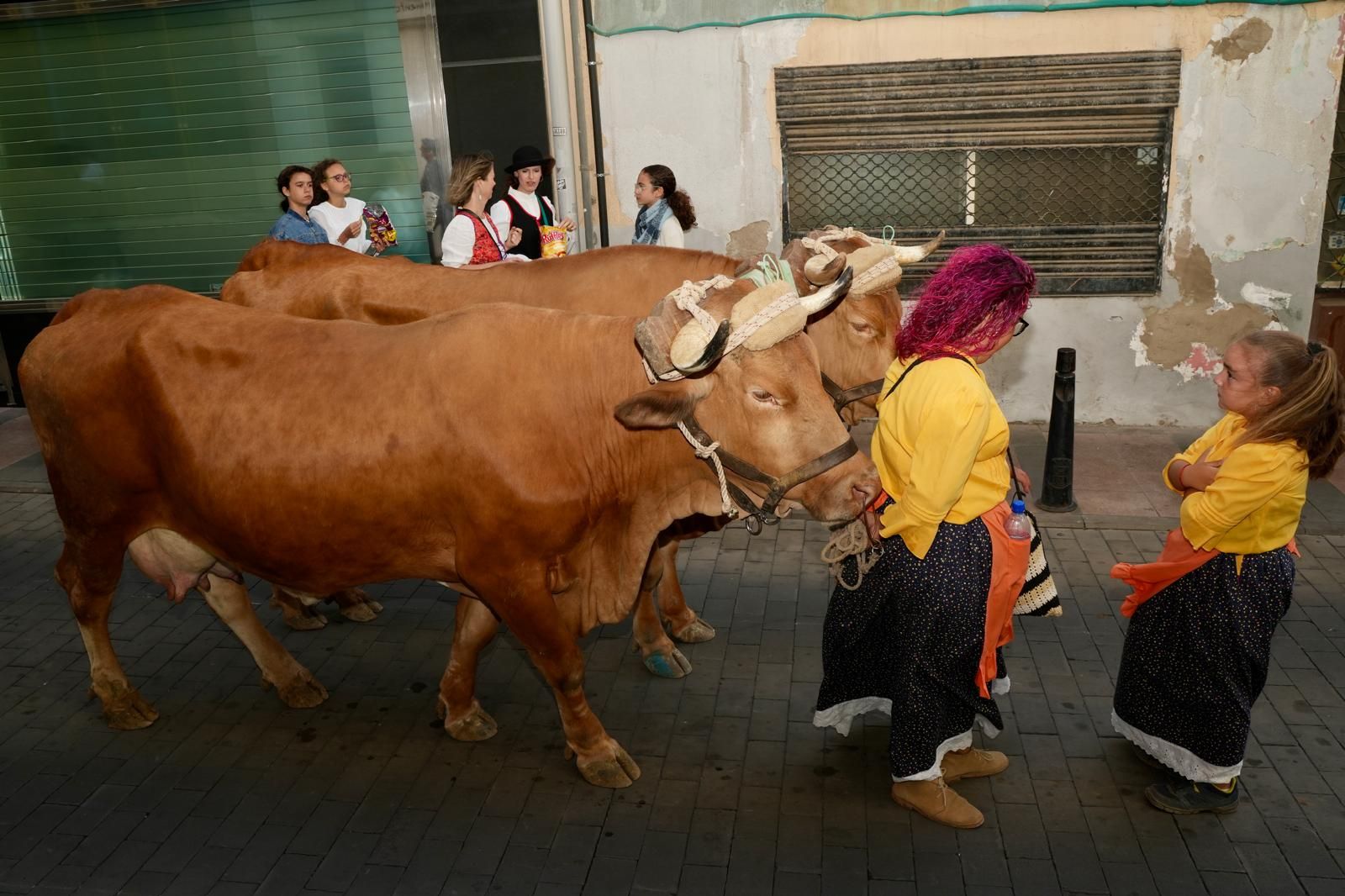 Telde celebra su romería de San Juan