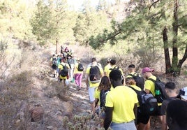 Imagen de la octava edición del Camino de Los Valores.