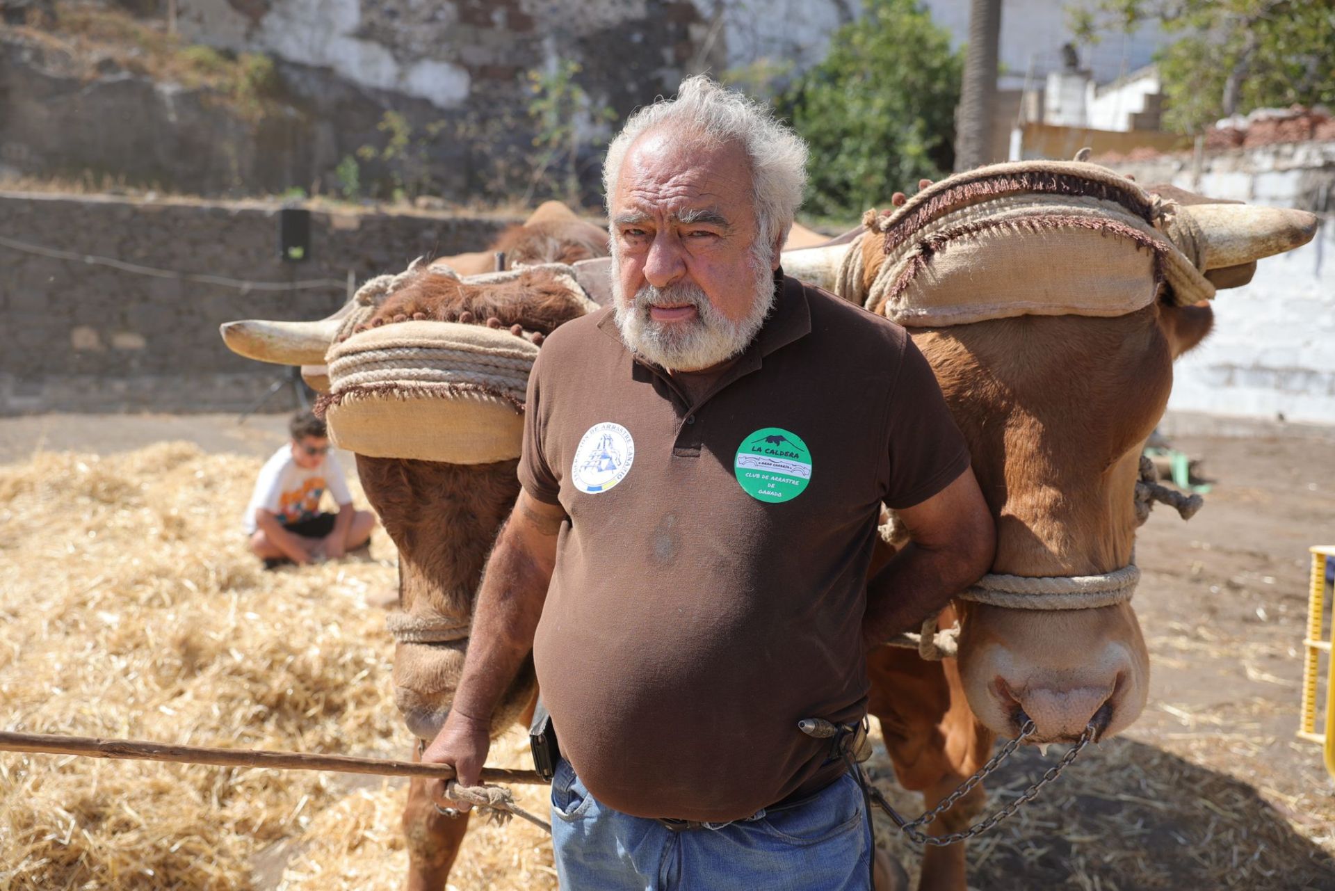 La feria de ganado de Telde, en imágenes