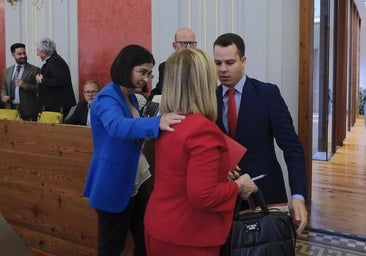 Darias: «Me voy a dejar la piel para que los malos no ganen»