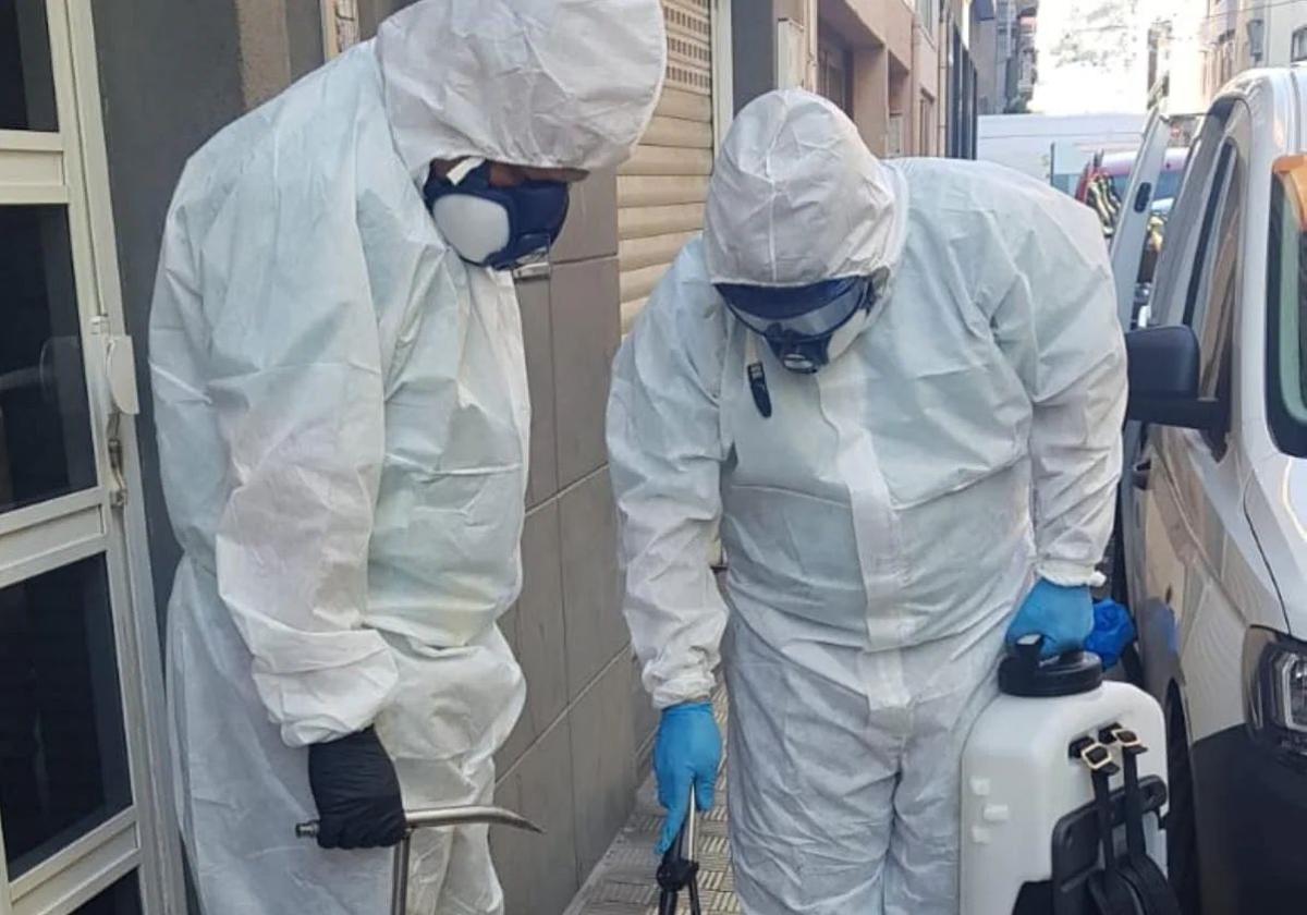 Sanidad da por erradicado en Tenerife el Aedes aegypti que sigue atrincherado en Gran Canaria