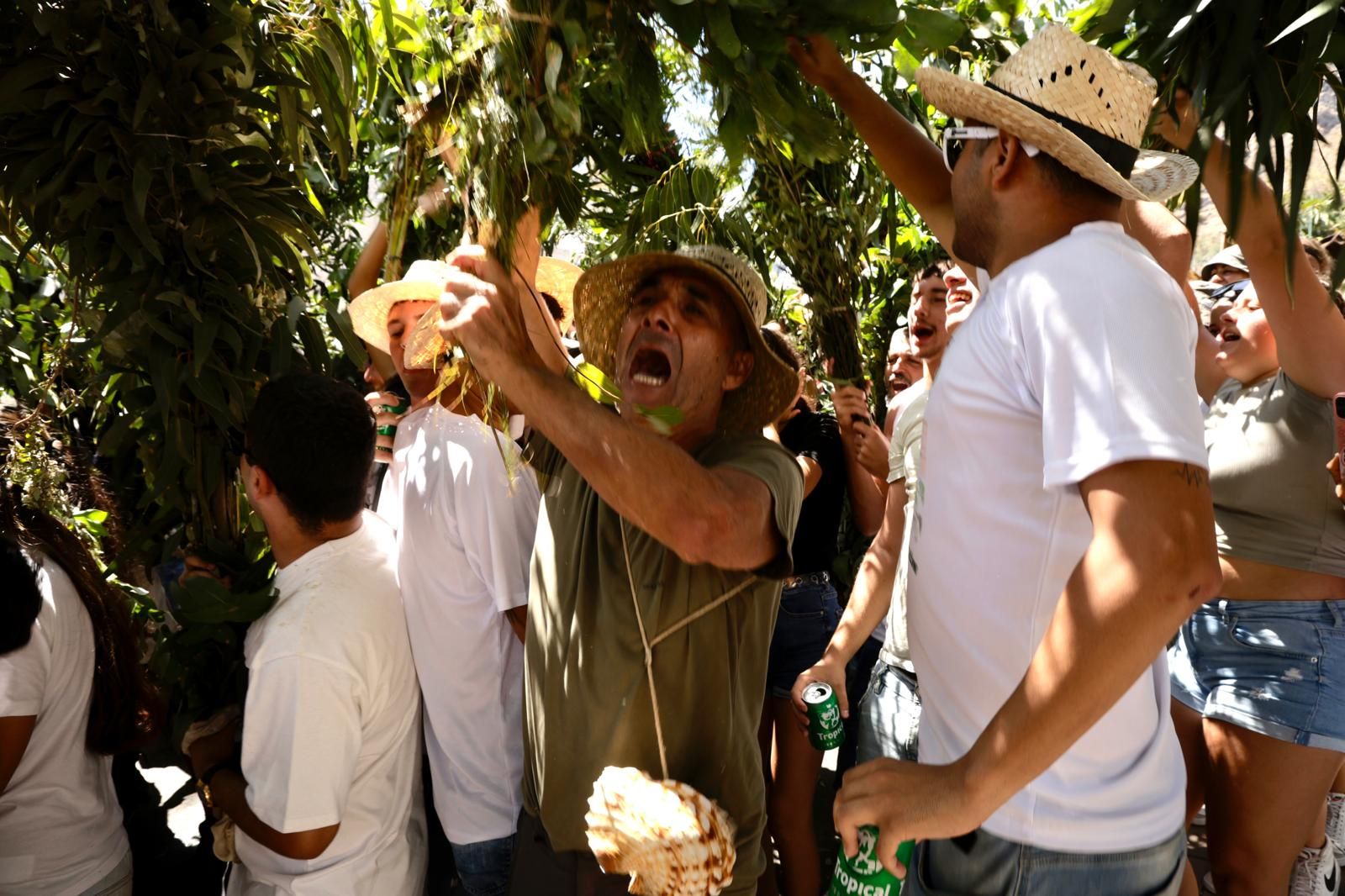 El Valle de Agaete vibra con la Rama de San Pedro, en imágenes