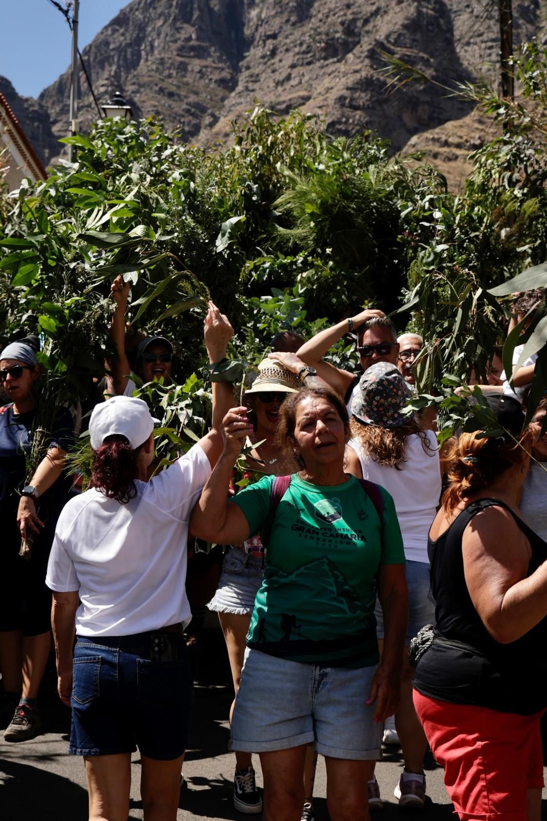 El Valle de Agaete vibra con la Rama de San Pedro, en imágenes