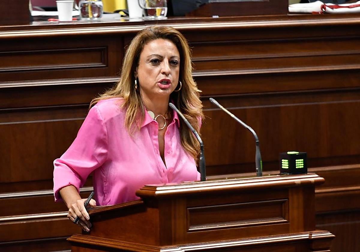 Cristina Valido, en el Congreso de los diputados.