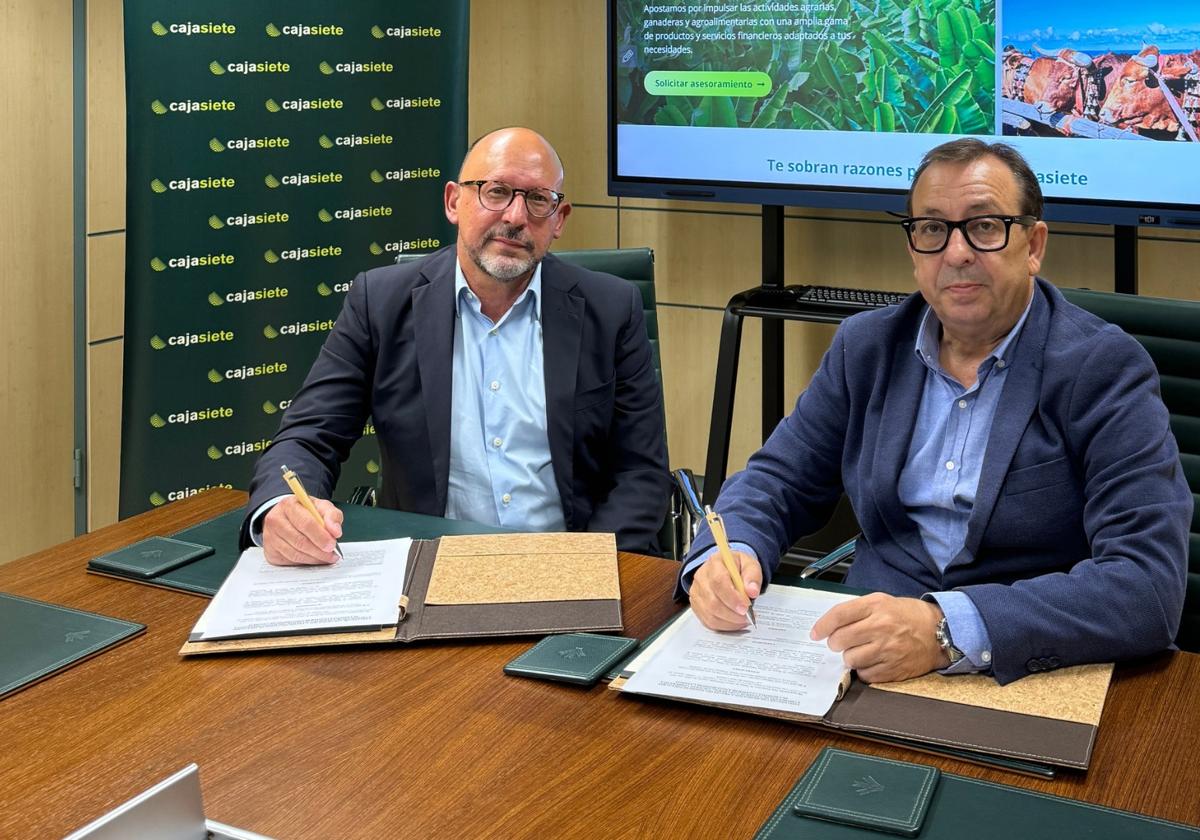 Cajasiete continua su acuerdo de colaboración con el sector Enoturístico de Canarias