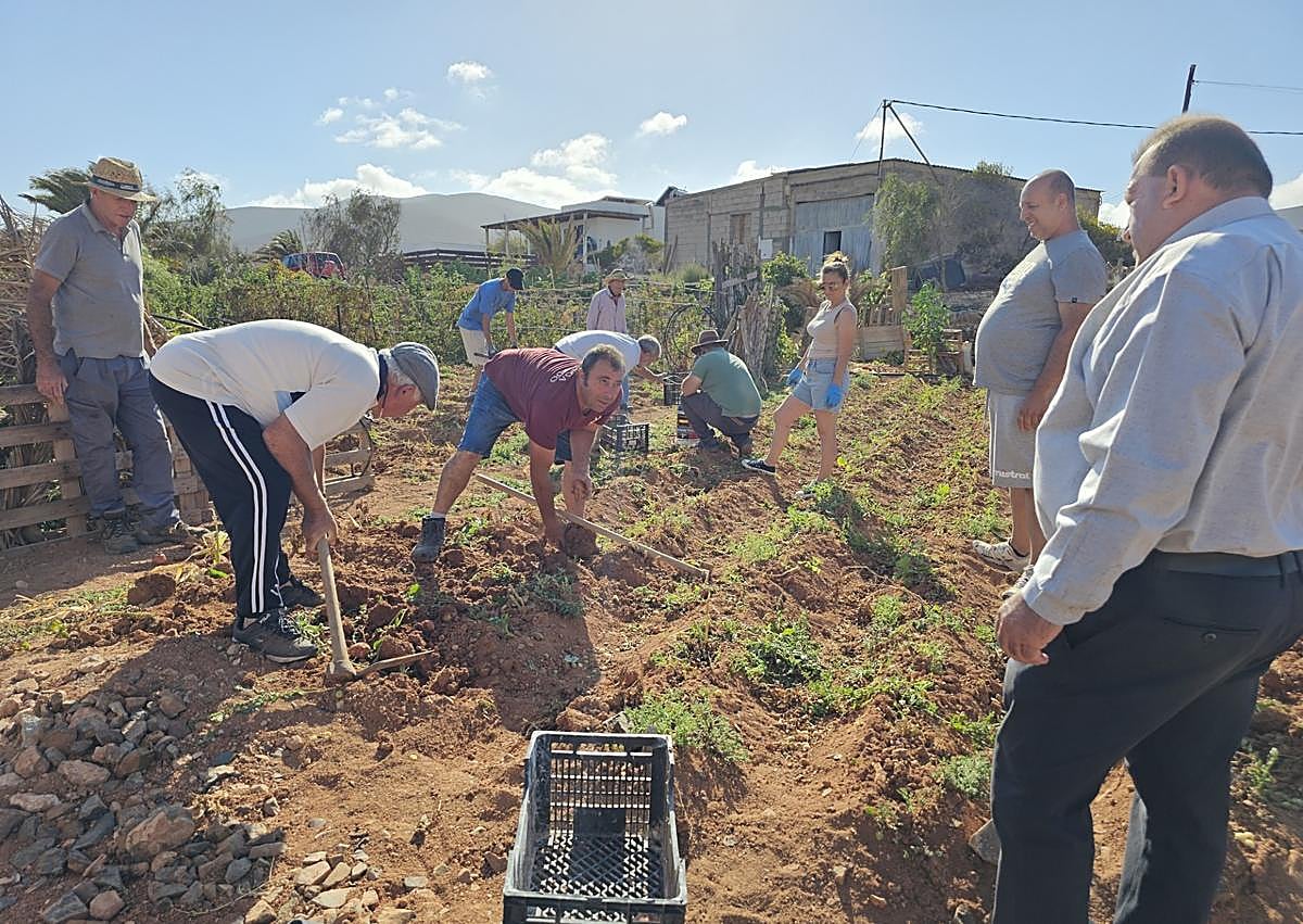 Imagen secundaria 1 - Una caja de papas por alumno en vez de diplomas