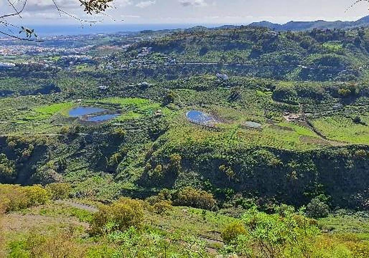 Imagen de archivo del espacio natural de Lomo Riquiánez, en Arucas.