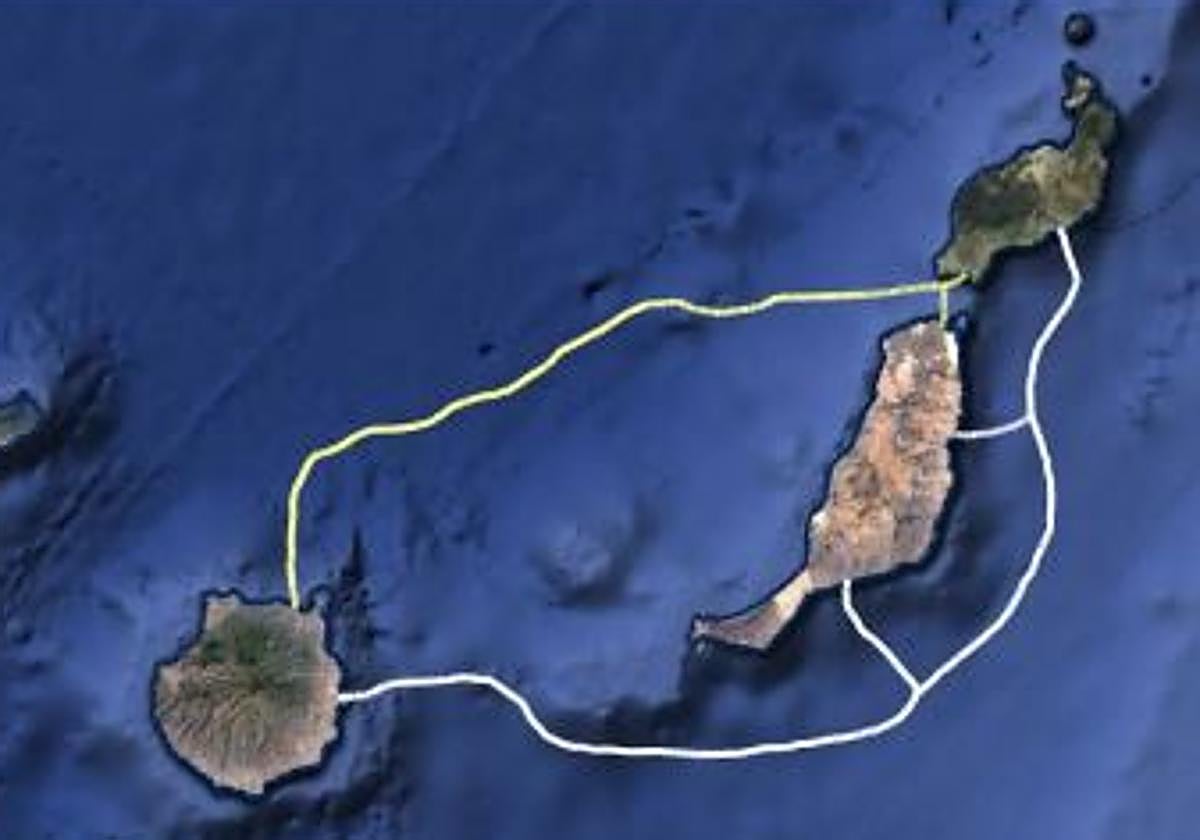 Recorrido submarino previsto del nuevo cable de telecomunicaciones proyectado por Canalink.