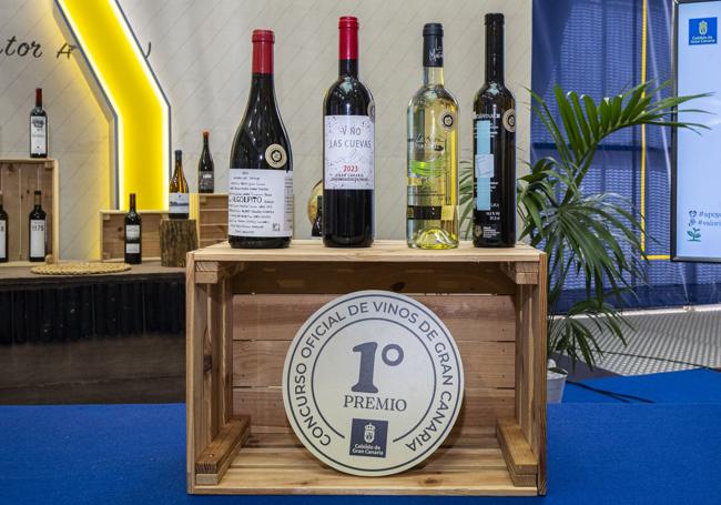 Medallas de oro del Concurso Oficial de Vinos de 2024 y botella de mejor imagen.