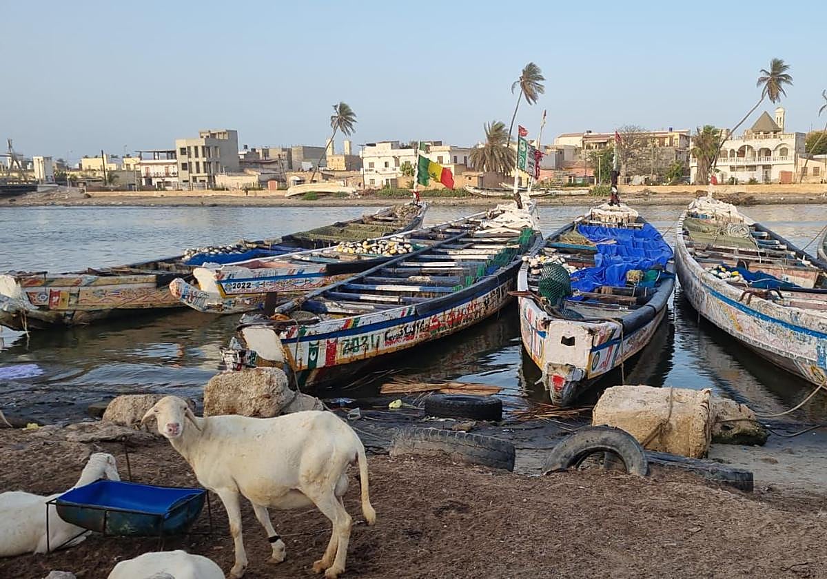 El proyecto Tierra Firme forma a 31 senegaleses