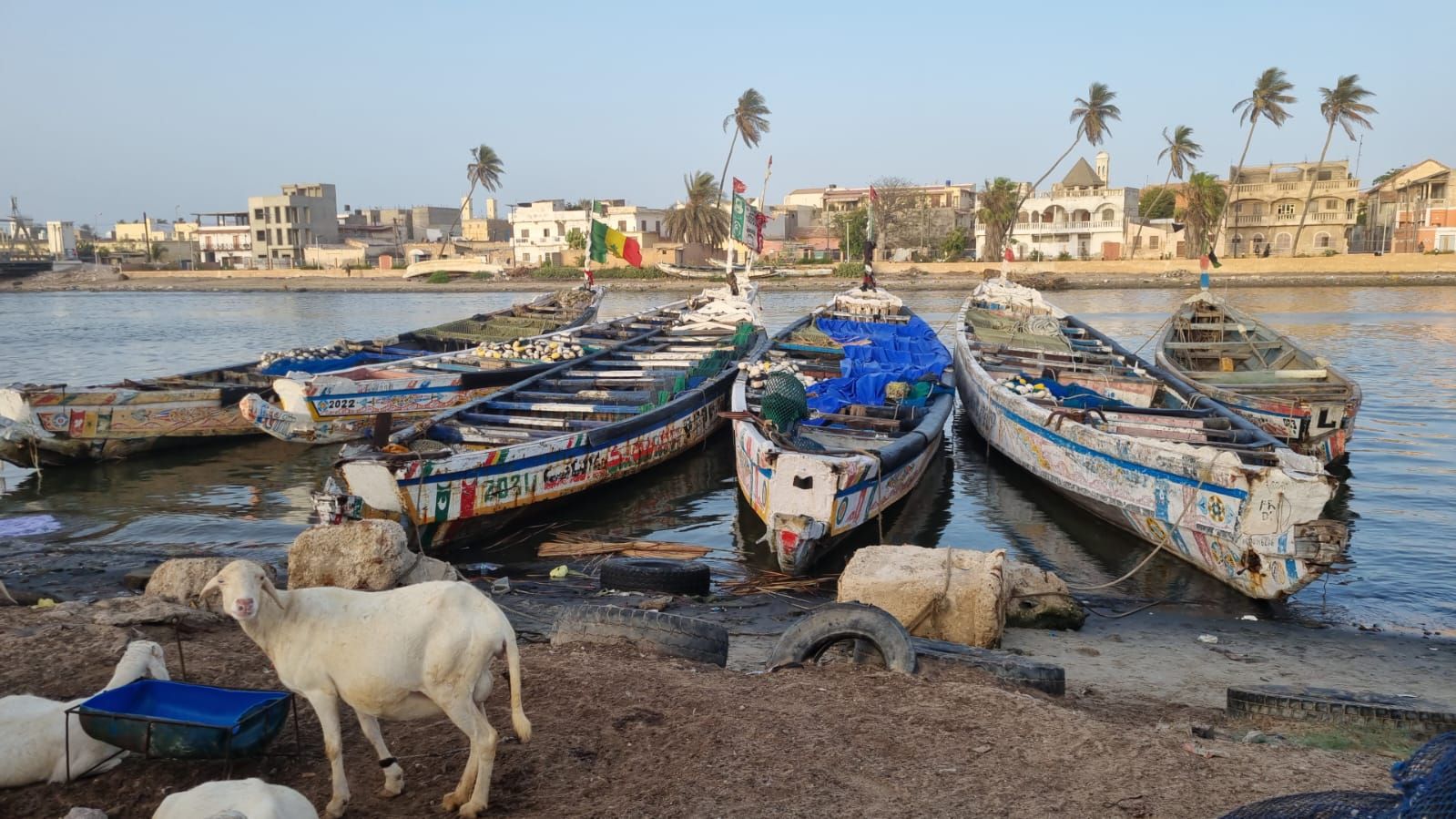 El proyecto Tierra Firme forma a 31 senegaleses