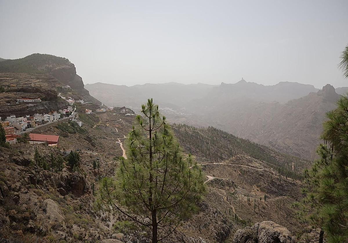 Calor y calima en Gran Canaria