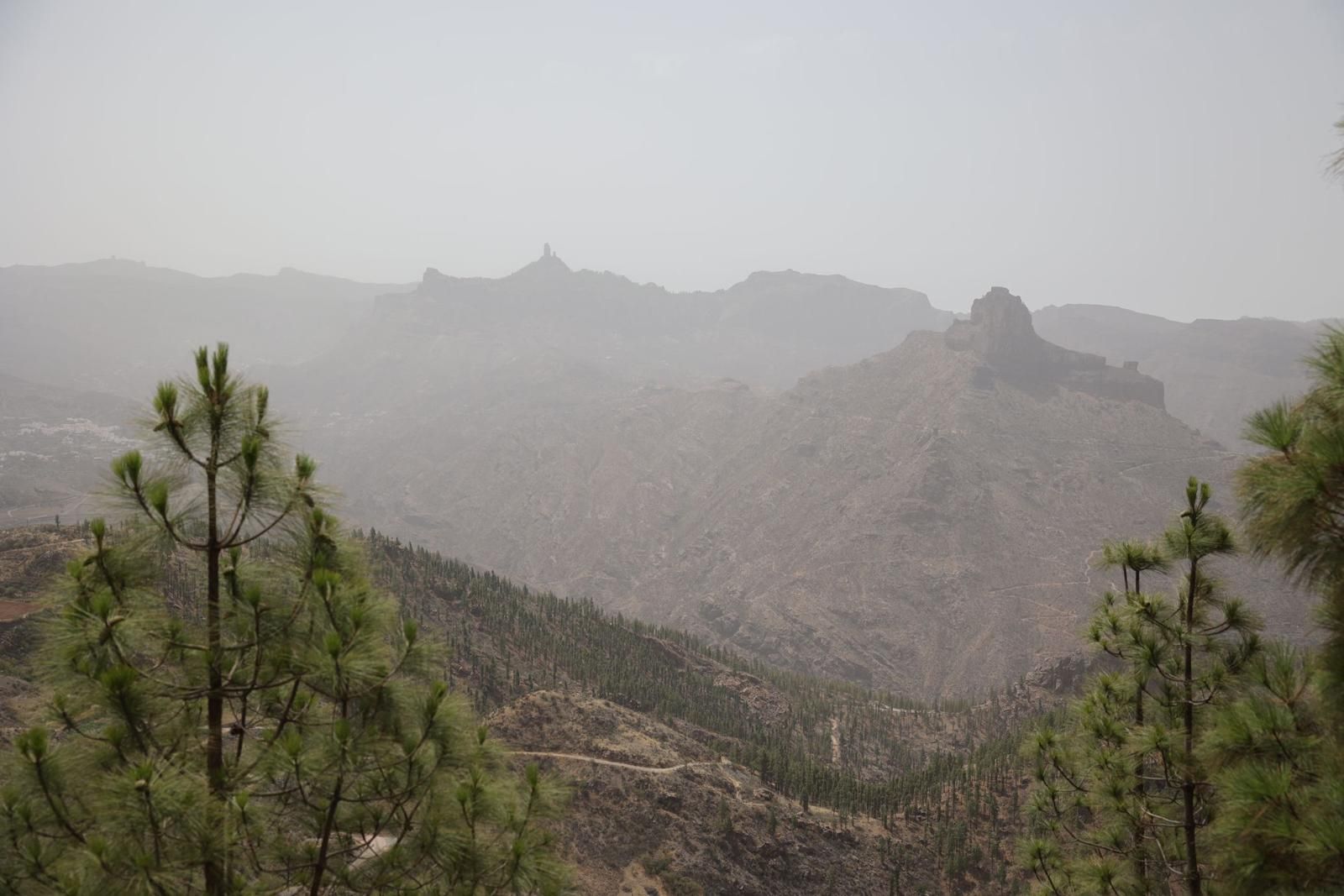 Calor y calima en Gran Canaria