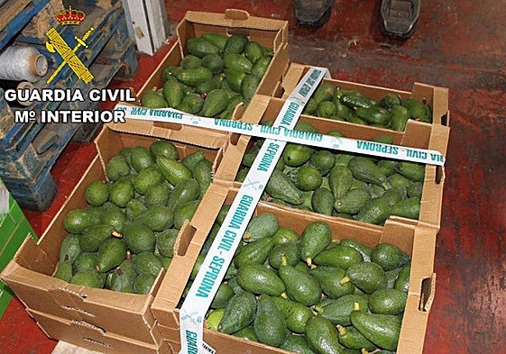 Imagen de archivo de un robo de aguacates.
