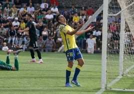 Un amistoso que sale caro: Januzaj y Sinkgraven se rompen