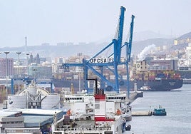 El megabuque 'MSC Anahita' realizó ayer 3.500 movimientos en Las Palmas. Sus dimensiones sorprendían a los viandantes de la Avenida.