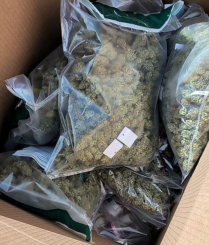 Imagen secundaria 2 - Pillan a un vecino de Arucas con una macroplantación de 230 plantas marihuana