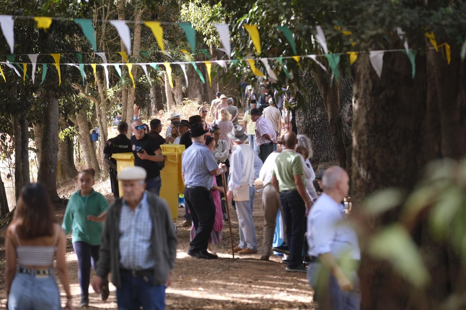 Las fiestas del Pino calientan motores con la feria de ganado