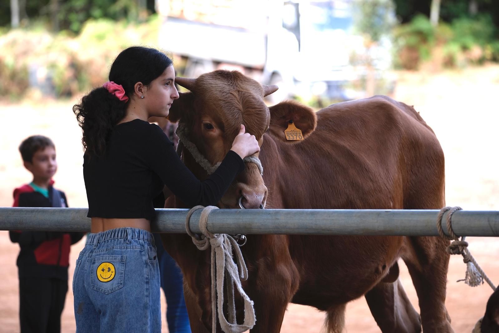 Las fiestas del Pino calientan motores con la feria de ganado
