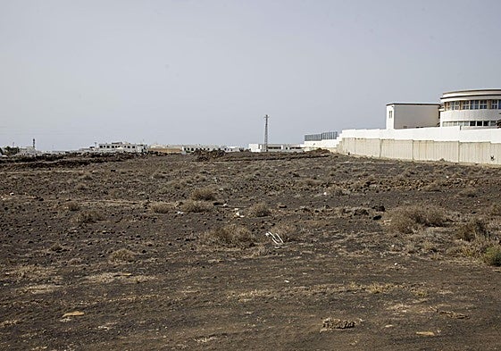 Espacio próximo al instituto de Tías que se prevé acoja el futuro gran ecoparque.