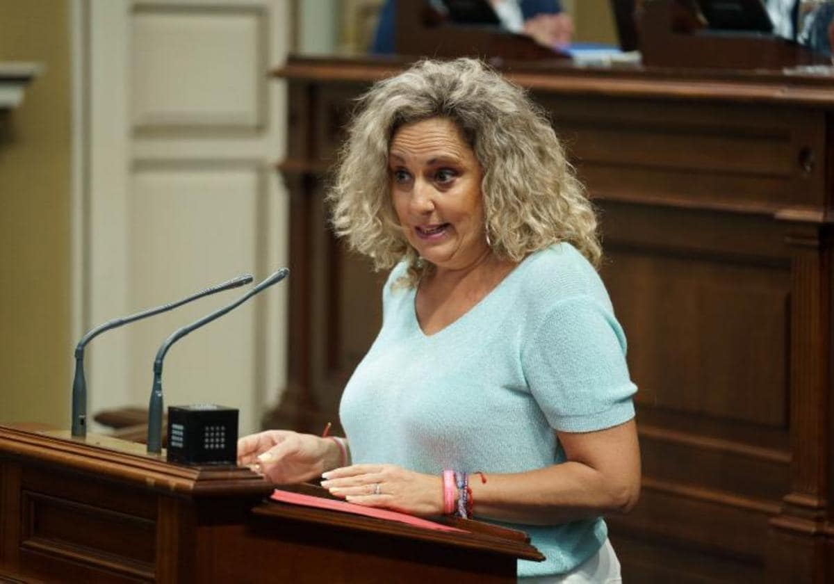 La exdiputada de Vox Marta Gómez, en una imagen reciente en el pleno del Parlamento de Canarias.