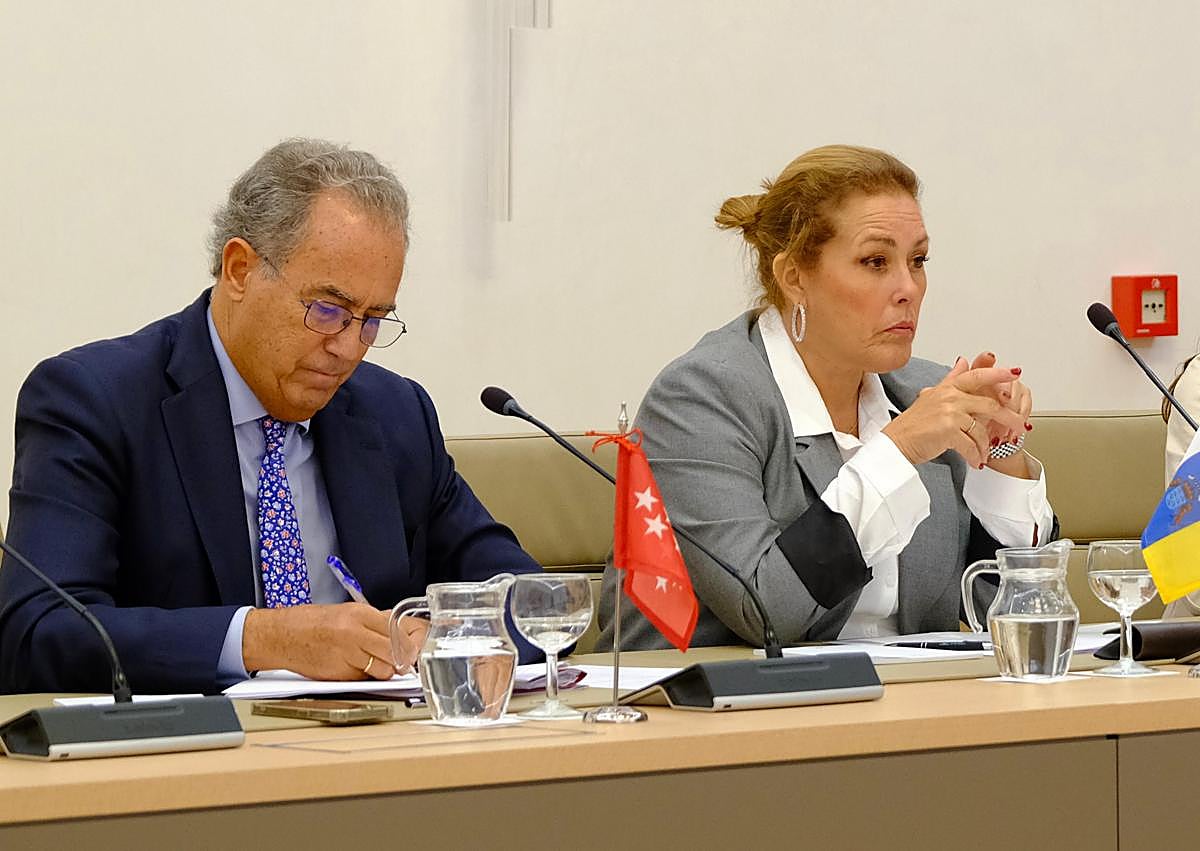 Imagen secundaria 1 - Astrid Pérez asiste a la primera reunión de presidencias de todos los parlamentos nacionales