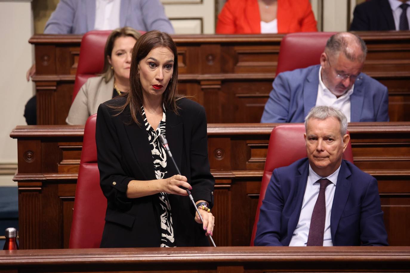 La secretaria de Organización socialista, Nira Fierro, durante el pleno del Parlamento de Canarias este martes.