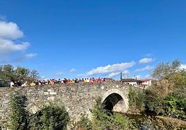 Imagen de los 150 participantes.