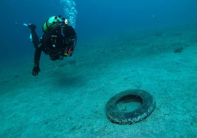 Neumático encontrado en el fondo marino en Tenerife.