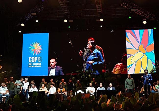Imagen de la Conferencia de las Partes (COP16) que se celebra en Colombia.