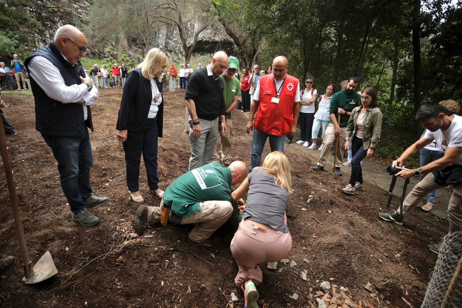 La plantación de Cruz Roja en el Jardín Canario, en imágenes