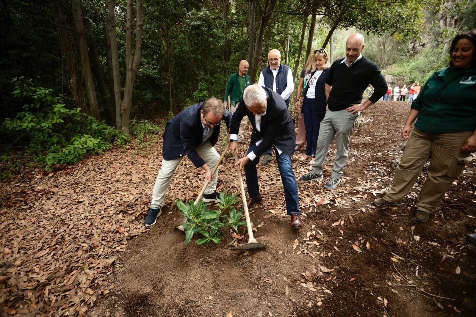 La plantación de Cruz Roja en el Jardín Canario, en imágenes